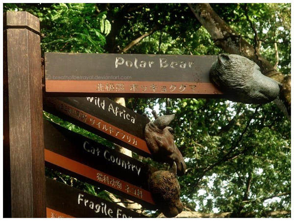 别致的指示牌设计