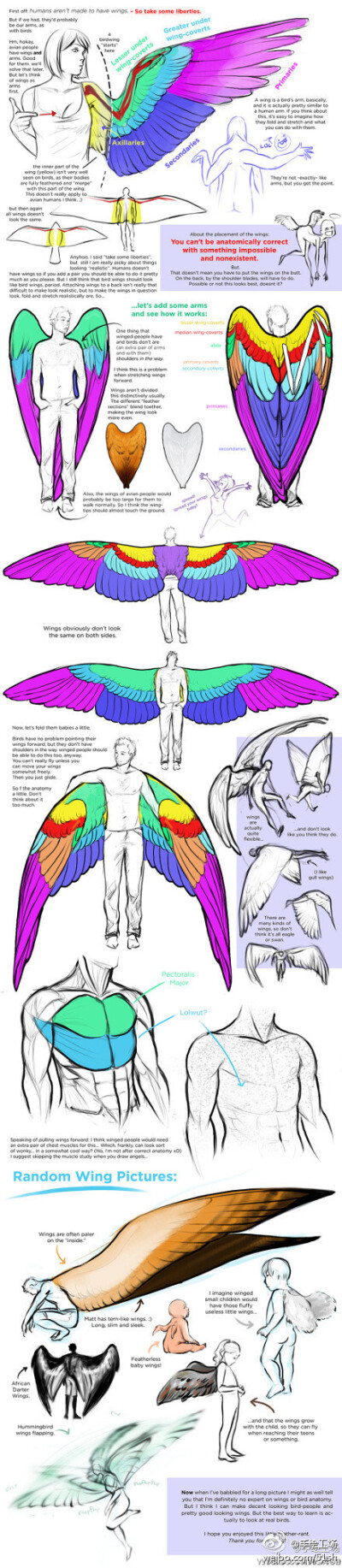 【天使的翅膀手绘参考】超级经典！E文资料，描述的非常到位～