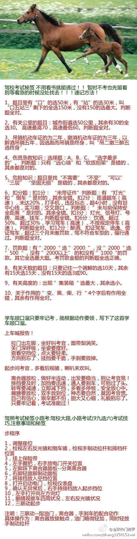 驾校考试秘笈，不用看书就能通过！！送给你身边现在或将来要学车的朋友吧！