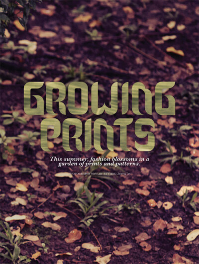 小男孩的海报库