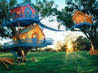 tree houses