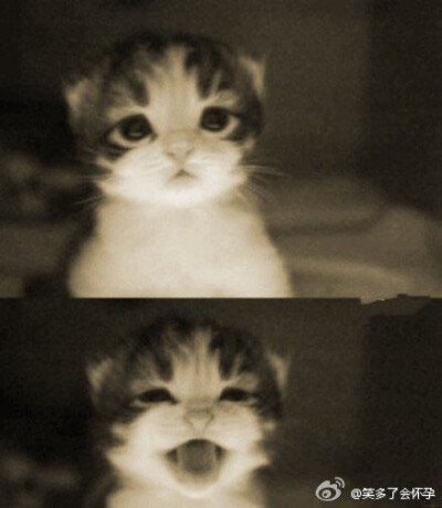 什么事情笑的这么欢乐丫丫~~