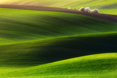 Photograph Green land by Piotr Krol on 500px