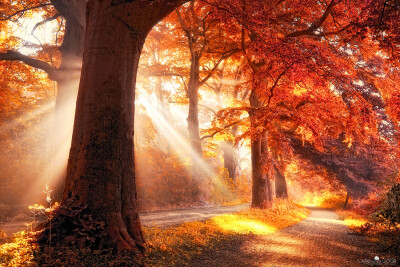 Photograph Fall on Fire by Lars van de Goor on 500px