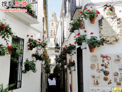 科尔多瓦，有一条著名的“Calle de Los Flores”———花之巷