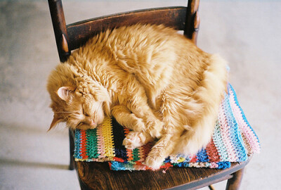 每天的任务就是完成足够的睡眠指标