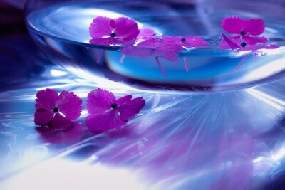 Photograph Fragment of early summer by Lafugue Logos on 500px