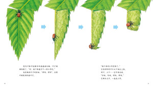 《最美的法布尔昆虫记》，卷象