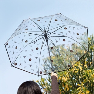 铁塔环保透明伞