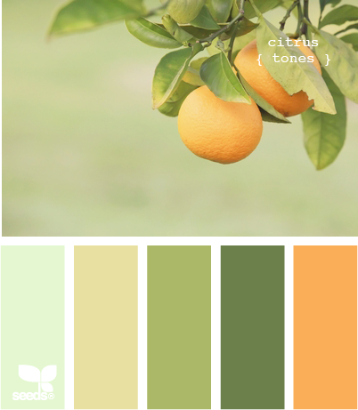 citrus tones