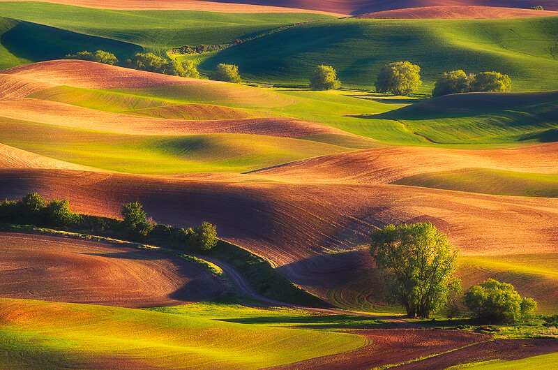 Photograph Wandering Colors by Nagesh Mahadev on 500px