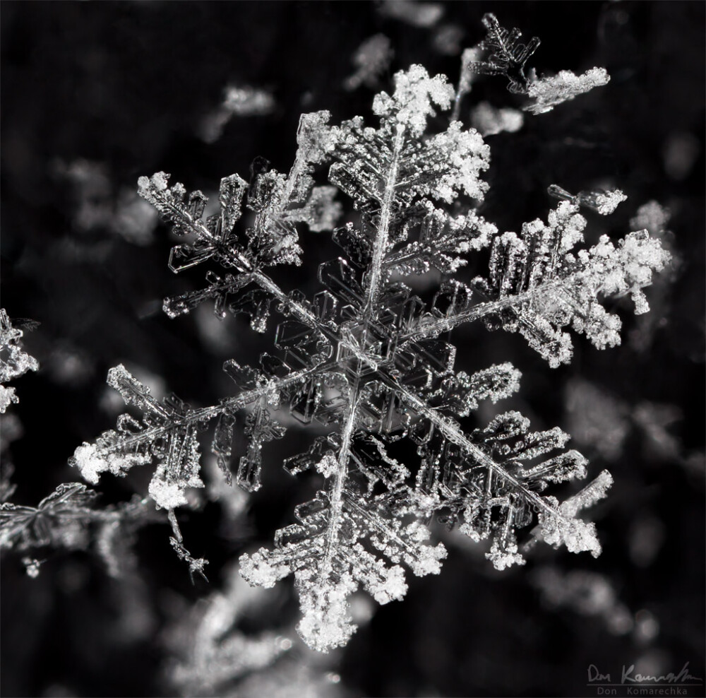 雪花