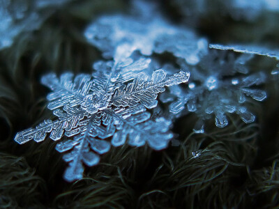 微距雪花摄影