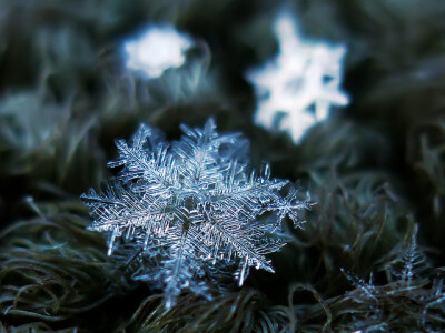 微距雪花摄影