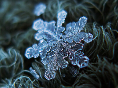 微距雪花摄影