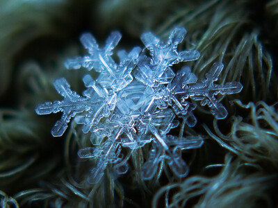 微距雪花摄影