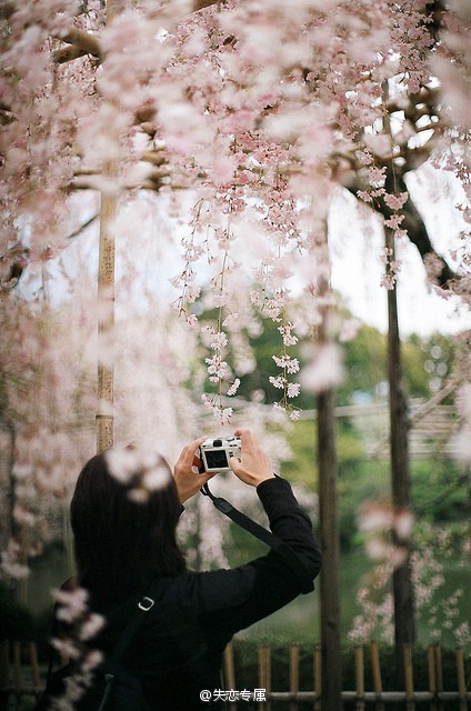 我怕你有一天突然明白你爱的是我 我却离开了