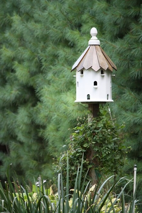 如星子划过夜空 时光 摄影