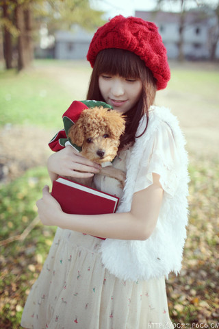 可爱的狗狗可爱的你