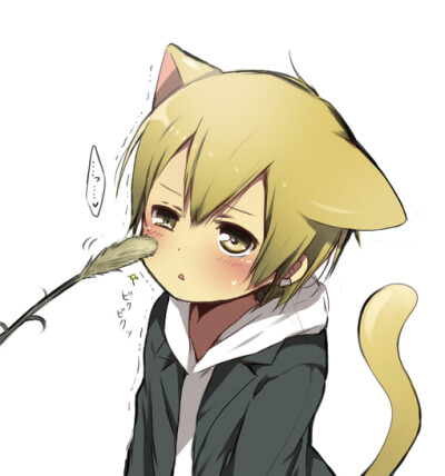 猫耳朵神马的，最可爱了。。。