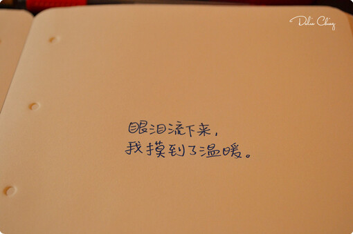 指尖重叠，从我的笔尖到你的视线。