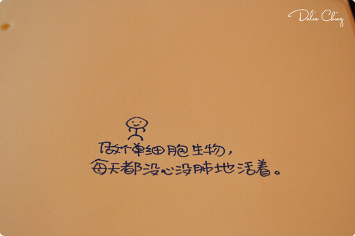 指尖重叠，从我的笔尖到你的视线。