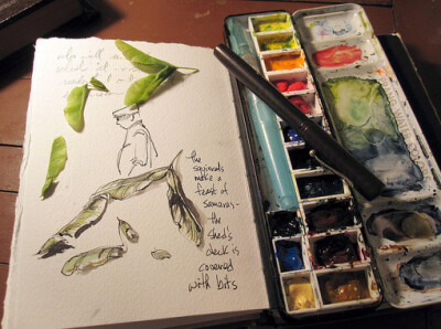 Journal sketches、watercolour、Cathy Kate Johnson、BEAUTYING、Journal sketches