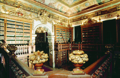 The Joanina Library, University of Coimbra | Portugal 葡萄牙Joanina图书馆。