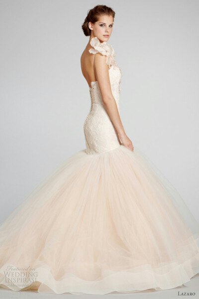 White by Vera Wang 2012秋冬系列婚纱 Vera Wang与David's Bridal合作系列