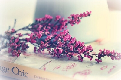 不可抗拒的大爱