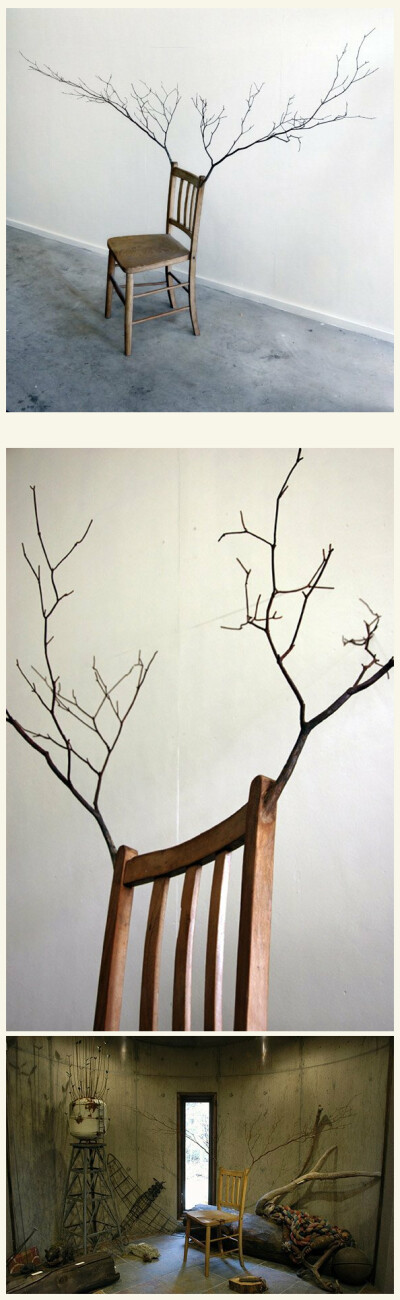 日本艺术家 Kado Bunpei设计的树枝椅
