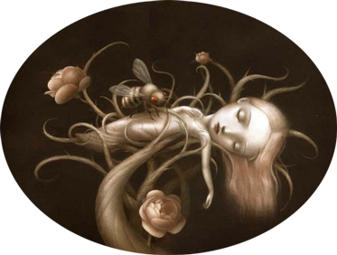 Nicoletta Ceccoli