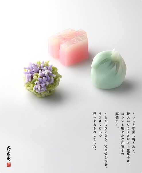 上生菓子 惜春菓