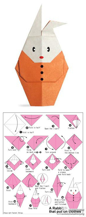 手工DIY折纸——动物
