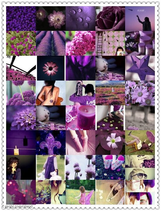 【各种紫】amethyst 水晶紫；lilac 丁香紫；violet 紫罗兰紫；orchid 兰花紫；grape 葡萄紫；aubergine 茄皮紫；lavender 薰衣草紫/淡紫；plum 青紫；modena 深紫；heliotrope 浅紫红；raisin/amaranth 深紫红。