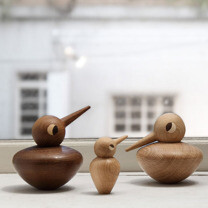 “为何这些小鸟会忽然出现呢? ”