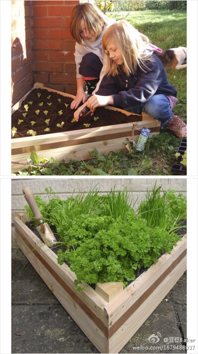 三角形实木种植床（Raised Bed），用FSC认证雪松或落叶松木制成，周边围一条铜带，可防蛞蝓爬上来。