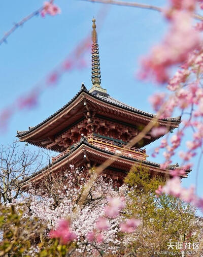 京都清水寺