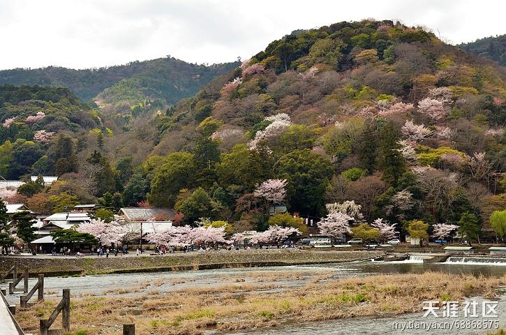 岚山