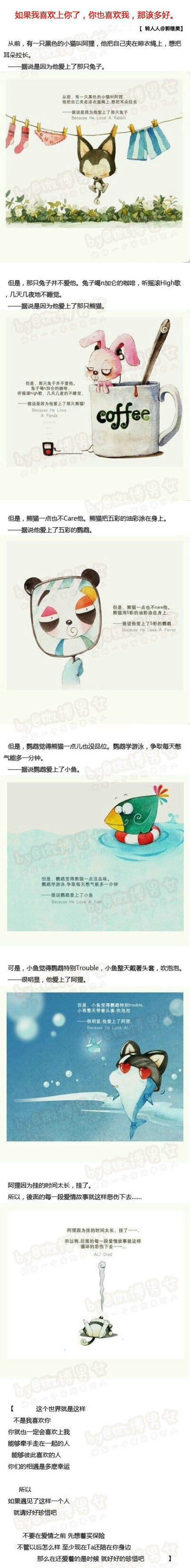 阿狸猫