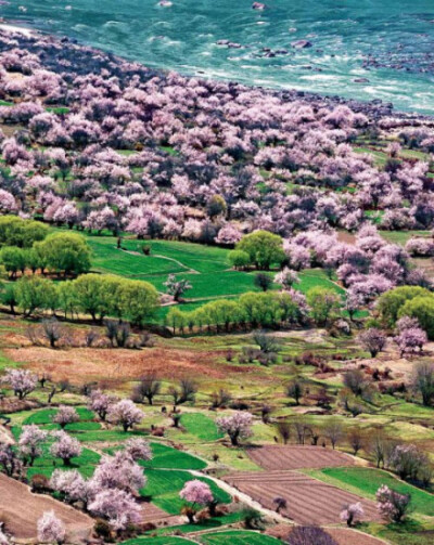 西藏林芝，如进画境一般