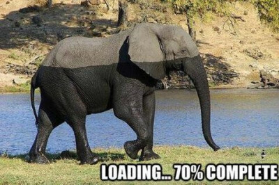 loading...70%