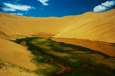 巴音郭楞蒙古自治州-阿尔金山自然保护区