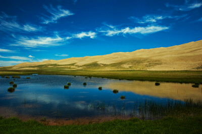 巴音郭楞蒙古自治州-阿尔金山自然保护区