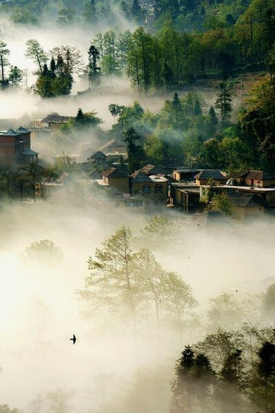 青城山。一如青城 天下幽