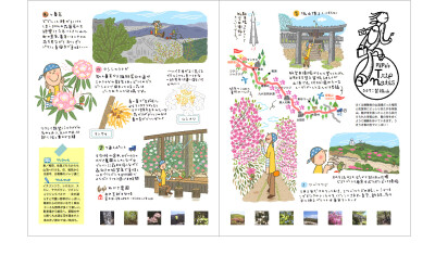 旅行图画