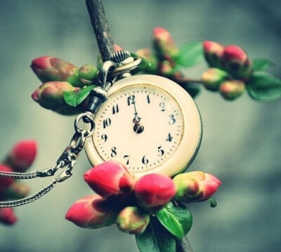 世间似流水 只求云淡风轻