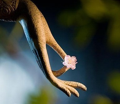 最好不相见，便可不相恋。 最好不相知，便可不相思。 最好不相伴，便可不相欠。 最好不相惜，便可不相忆。 最好不相爱，便可不相弃。 最好不相对，便可不相会。 最好不相误，便可不相负。 最好不相许，便可不相续。 …