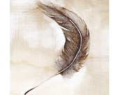 feather art print