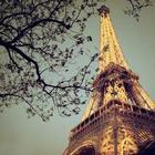 Eiffel Tower 。。。